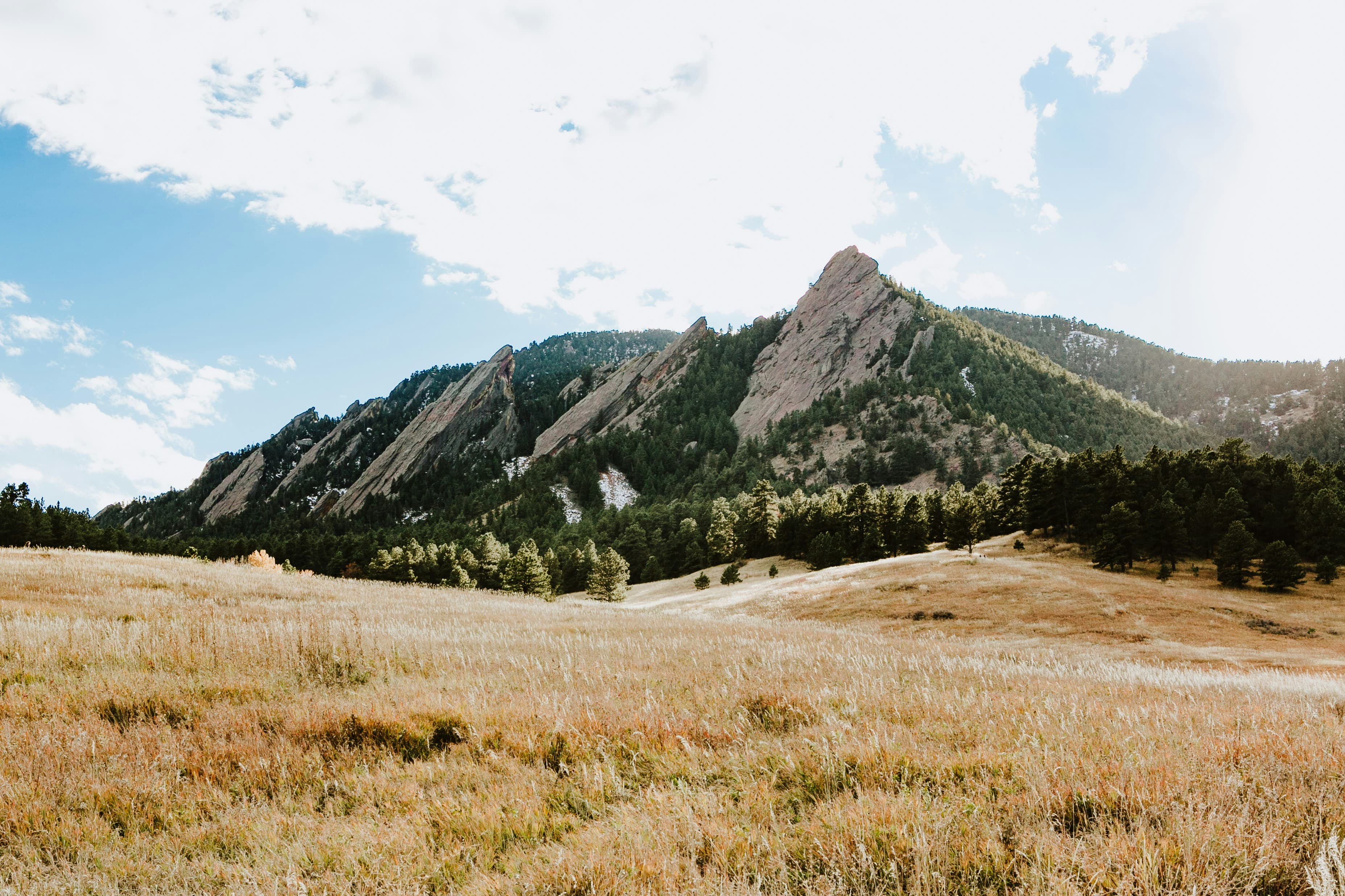 colorado field and mountain
